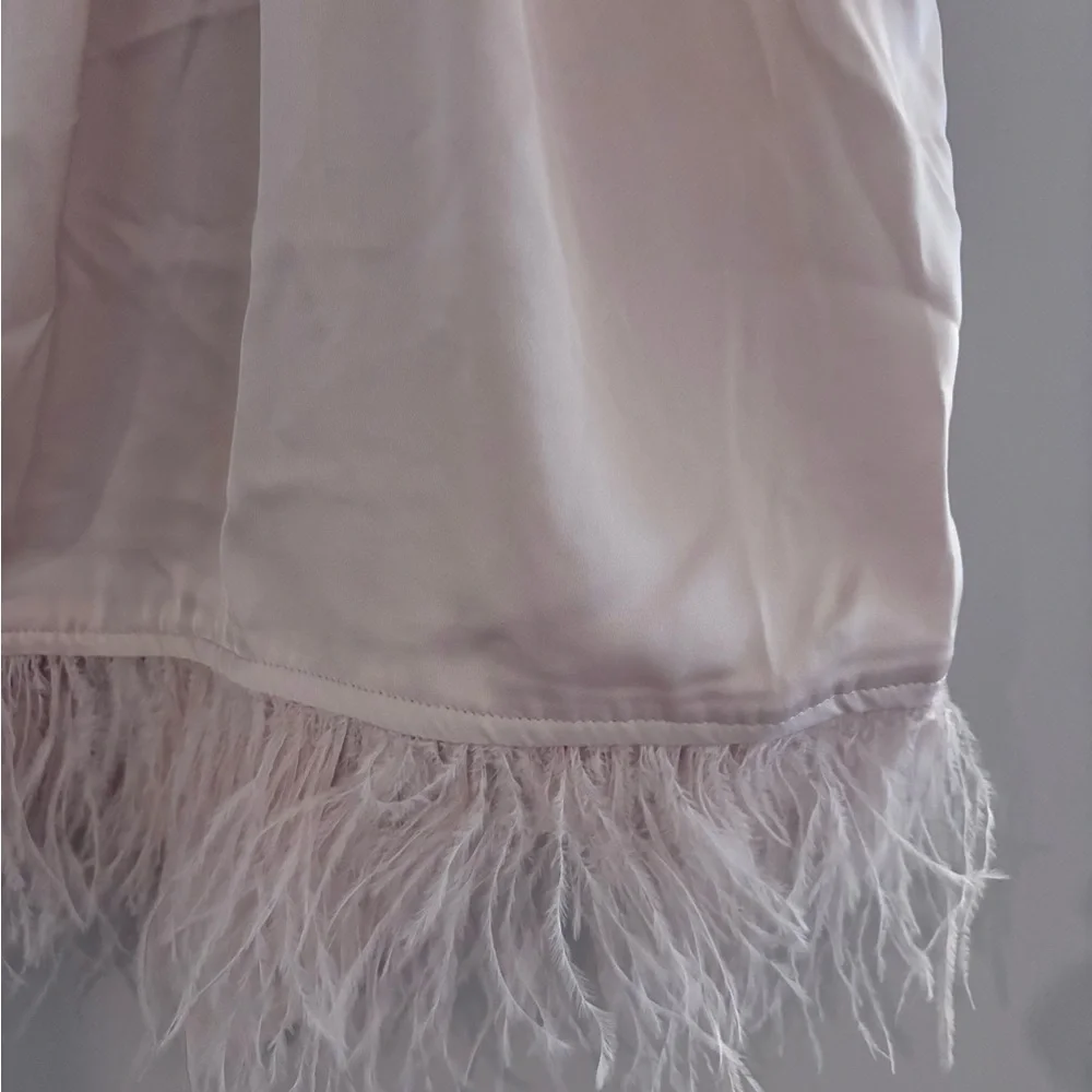 Strut & Bolt | Blush Pink Halter Top with Feather Detail - Picture 5 of 12